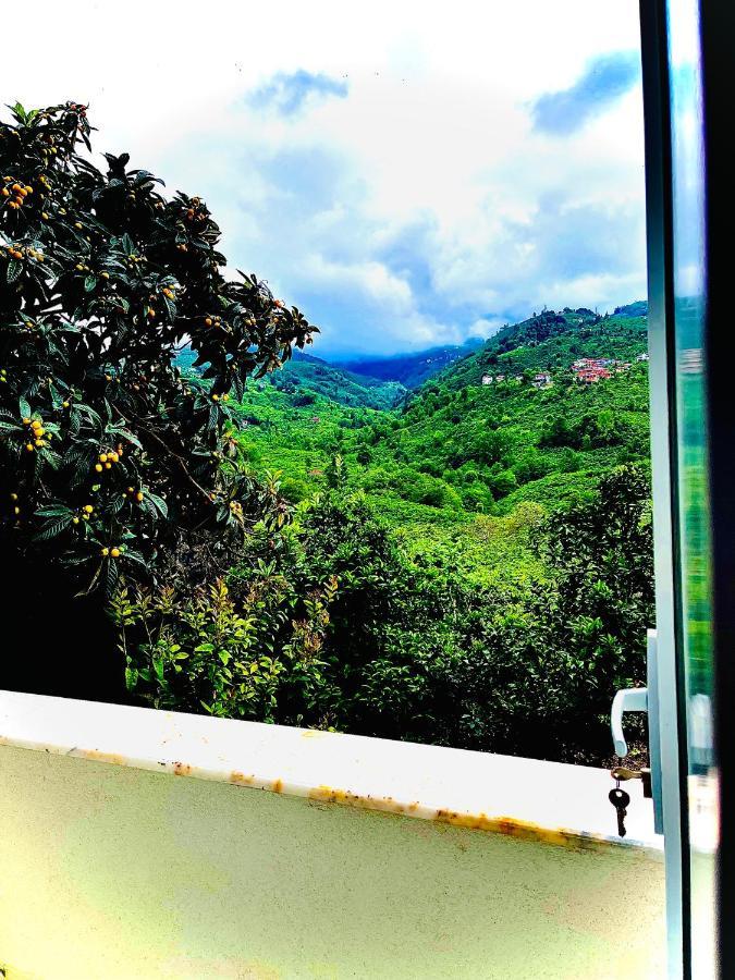 Aparthotel Five Stars Apart Trabzon Zewnętrze zdjęcie
